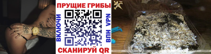 Галлюциногенные грибы Magic Shrooms  купить наркоту  Сатка 